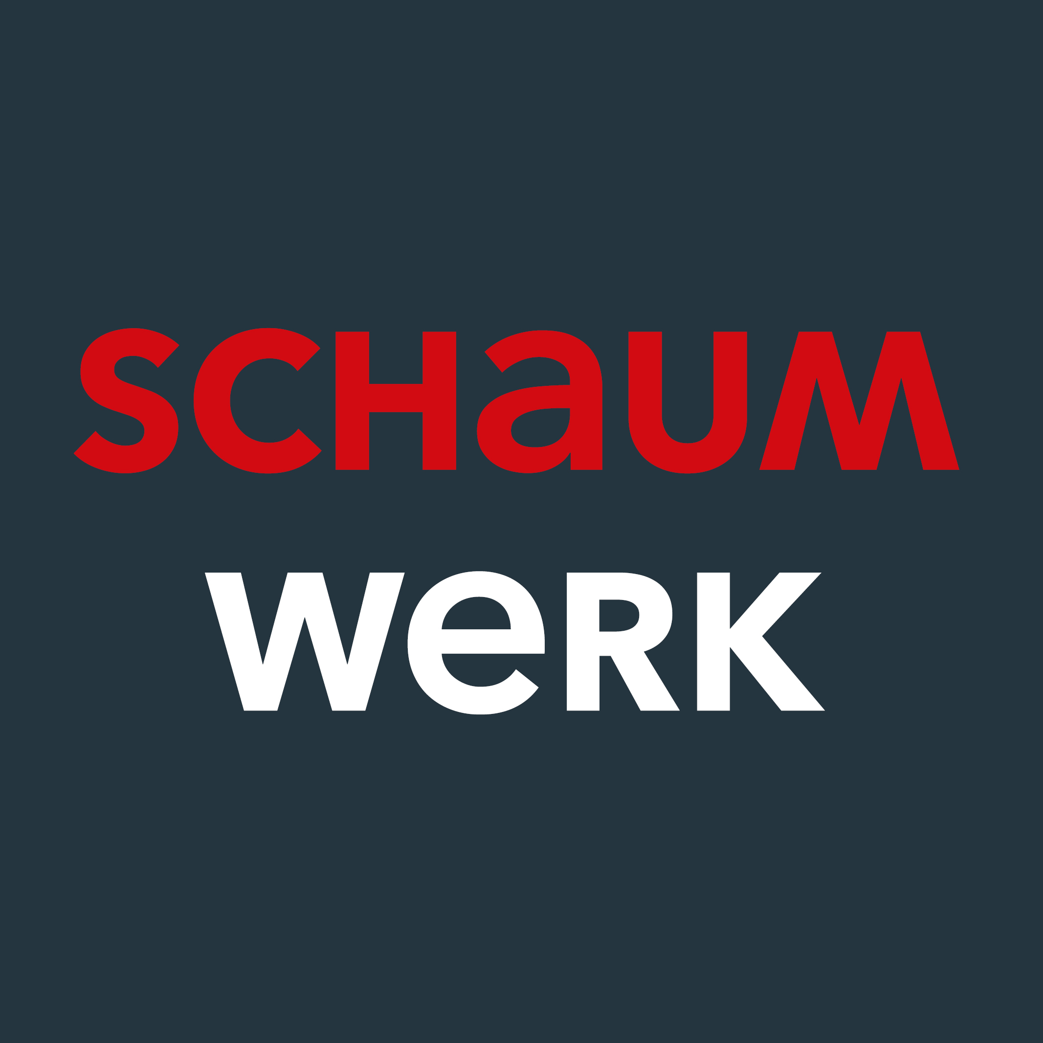 Favicon SCHAUMWERK Schaumwerk Icon